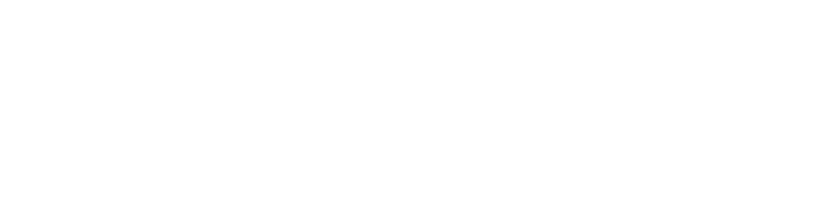 zinova.in